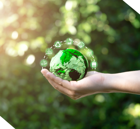 Compromisso com a Sustentabilidade